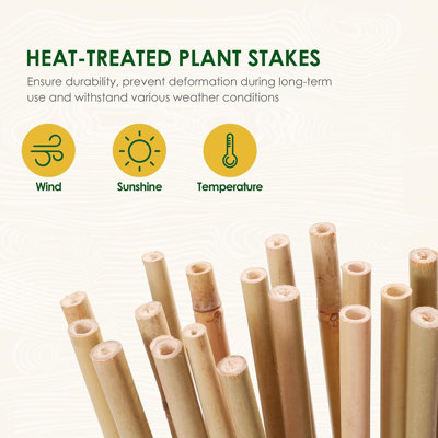 Weather Resistant Bamboo Plant Support