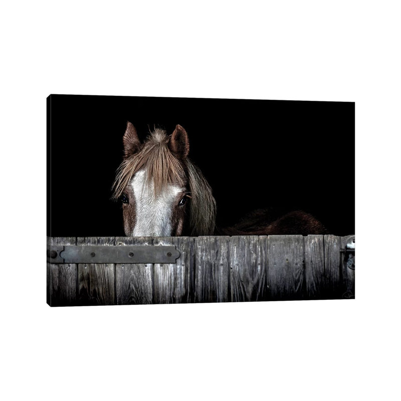 Peek a Boo par Paul Neville - Photographie sur toile tendue, H 12 po x l 18 po x 1,5 po