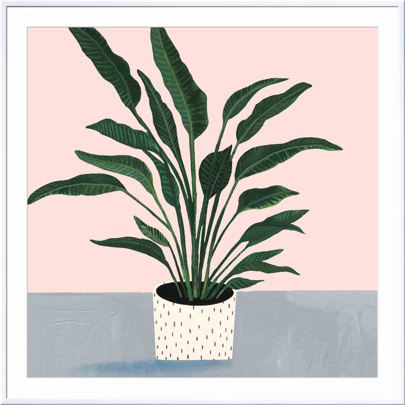 «Houseplant IV» par Victoria Borges - peinture encadrée, Blanc, H 12 po x l 12 po