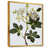 Gold Floater Framed