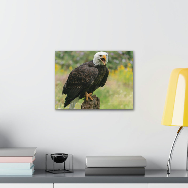 Art mural majestueux aigle à tête blanche, H 12 po x l 18 po