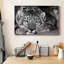 Snow Leopard Sanctuary - Photographie sur toile tendue-691555063