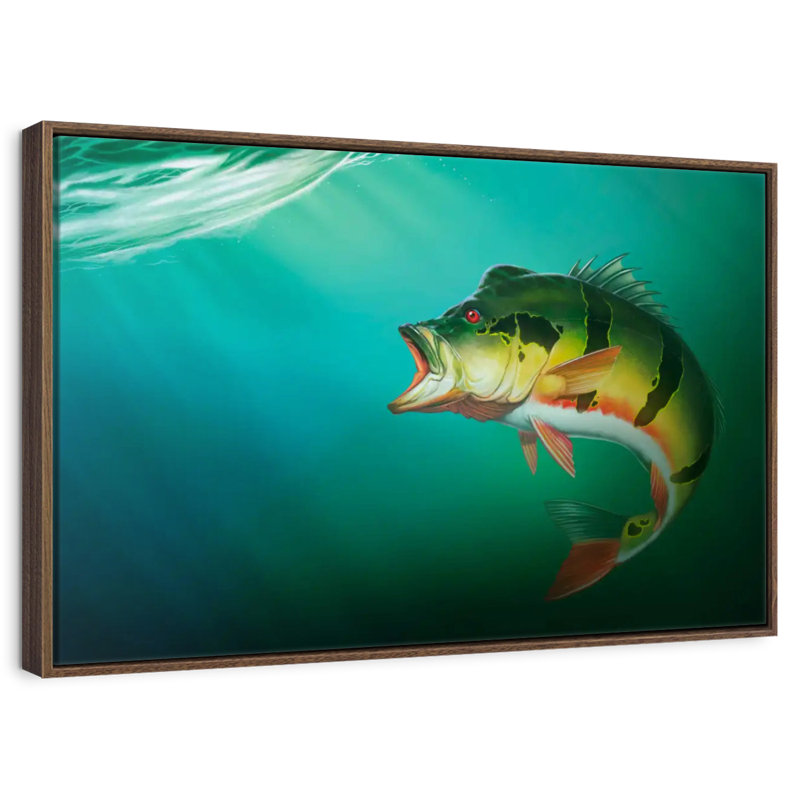 Peacock Bass, Cadre flottant noyer, 40 po x 27 po