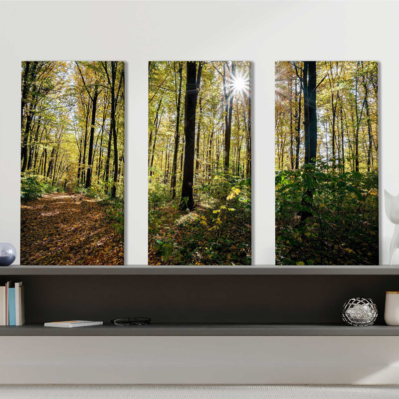 Forest Trees - Ensemble de 3 reproductions de photos sur toiles tendues