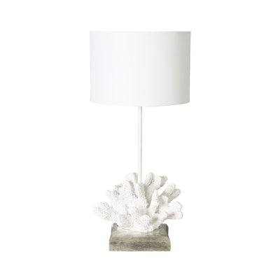 White Shell Table Lamp With White Shade
