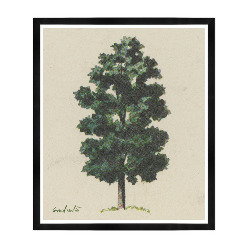 Vert forêt avec cadre noir, Cadre noir