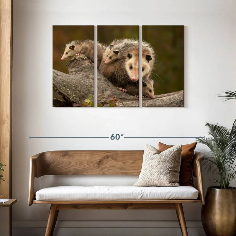 Famille Opossum, H 28 po x l 45 po