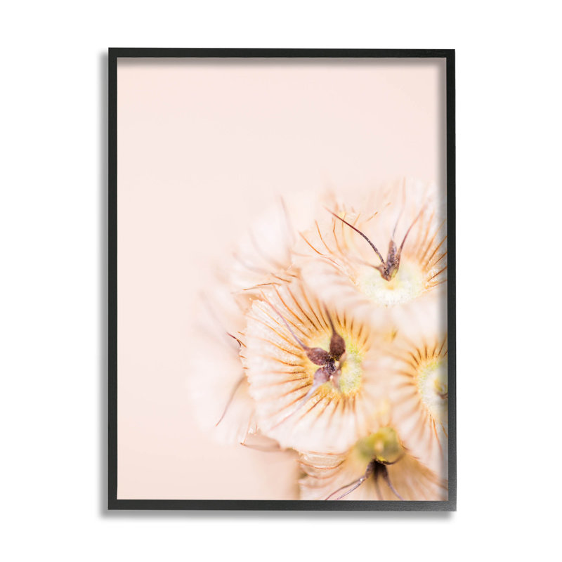 Gros plan, fleur rose, anthère, estampe numérique par Renee W. Stramel, Giclée encadrée noir minuit