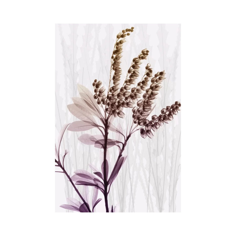 Radiant Snowdrops II by Albert Koetsier - Wrapped Canvas Print, 20.32 cm H x 30.48 cm W