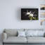 "Robert Traub", "Robert Traub Spider Lily", art sur toile-69189693