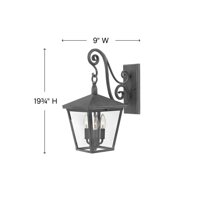 Trellis 3-Light Outdoor Wall Lantern, Clear Seedy, LED, Regency Bronze