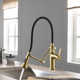 Engel Single Handle Pull Down Kitchen Faucet