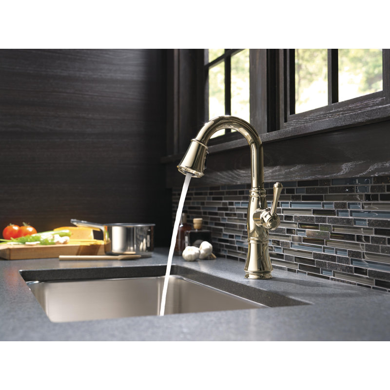 Cassidy Bar Faucet with Pull Down Sprayer, Polished Nickel