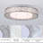 Chic Iron Bird's Nest LED Ceiling Light 5-Class Dimmble-414846236-414846239