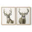 Impression encadrée Handsome Whitetail I-Premium - prête à être accrochée - aucun clou requis - aucun clou requis-1654342357