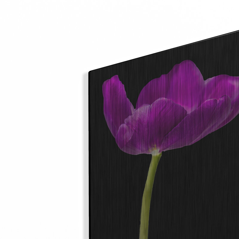 Lueur de tulipe mauve par Pamela Plummer, H 16 po x l 12 po