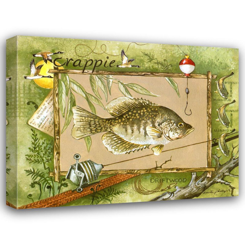 Crappie, H 36 po x l 46 po