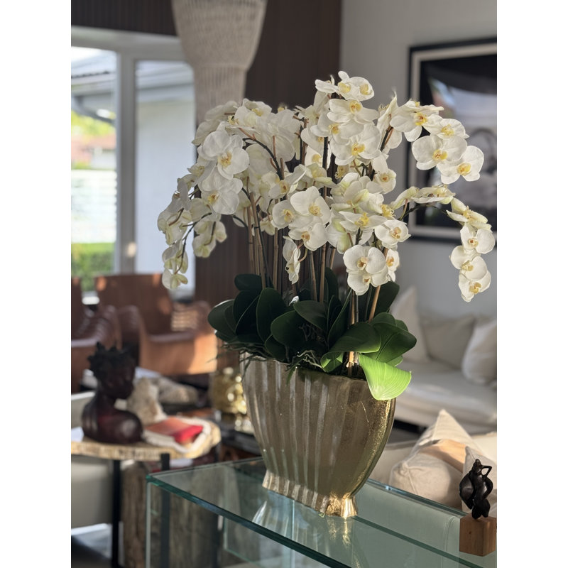 Vivien Gold Vase With Phaleanopsis Orchids, White