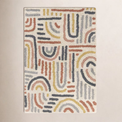 Alejandra Shag Area Rug