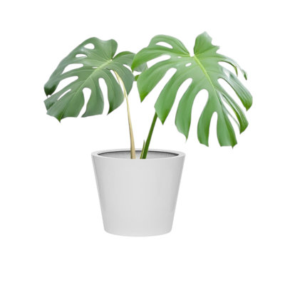 Slovan Handmade Pot Planter