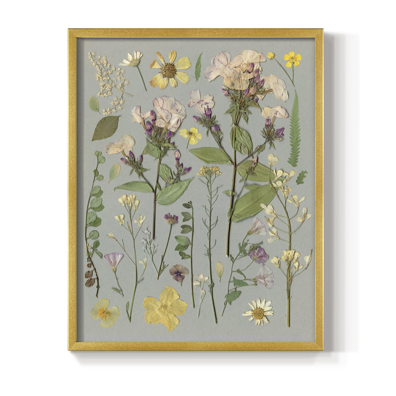 Organic Study II Framed Print - Solid Wood, Gold
