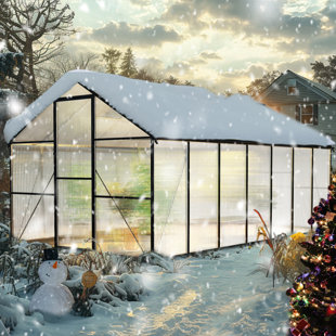 Serre extérieure, serre à porte, serre en polycarbonate avec protection contre les rayons UV, serre robuste avec cadre en aluminium coupe-vent, évent de toit et conception à installation rapide pour une utilisation dans la cour ou le jardin