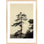 Serenity Print by Peter Dušek-560221189-560221194