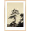Serenity Print by Peter Dušek-560221194-560221191