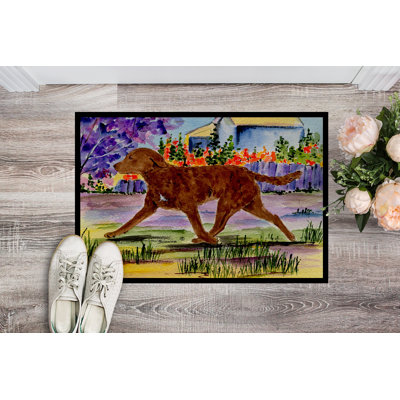 Non-Slip Indoor Doormat