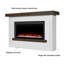 Bernice 65" Landscape Electric Fireplace by Real Flame