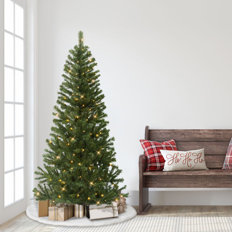 6' Pre-Lit Canadian Spruce Artificial Christmas Tree