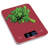 Ozeri Touch Professional Digital Kitchen Scale (12 lbs Edition) in Tempered Glass-17854783