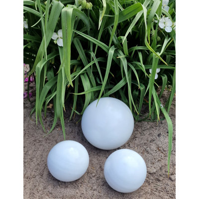 Casamassina Stainless Steel Gazing Ball