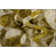 Nolah Area Rug with Non-Slip Backing