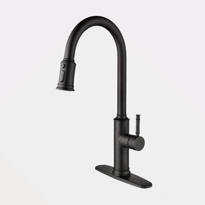 Kitchen Faucet With Pull Out Sprayer