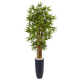 60'' Faux Bamboo Tree in Ceramic Planter
