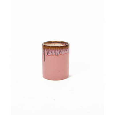Ceramic Pot Planter