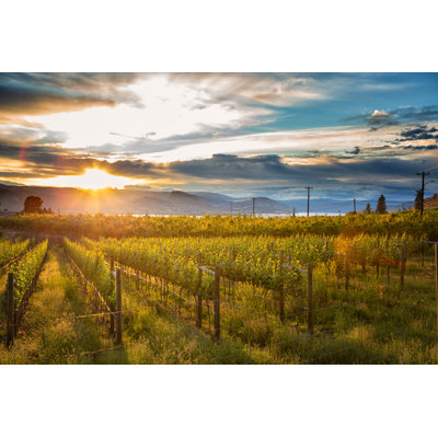 " Sunset At Okanagan " by Aprott