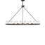 24 - Light Chandelier