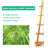 Kaysen 5-Tier Modern Bamboo Wall-Leaning Display Ladder, Bookcase