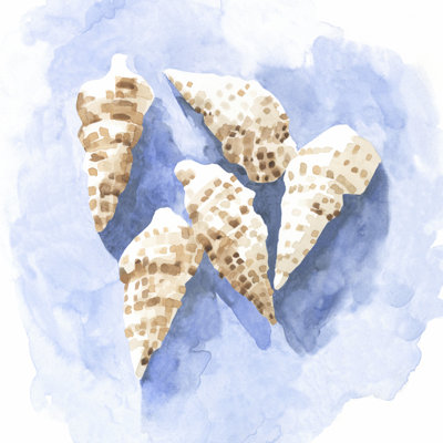 Shell Impressions II by Emma Caroline - Wrapped Canvas Painting