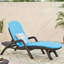 Chaise longue confortable avec coussin - Chaise longue de jardin en polypropylène brun foncé