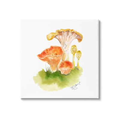 Mélange d'aquarelle de champignons sur toile
