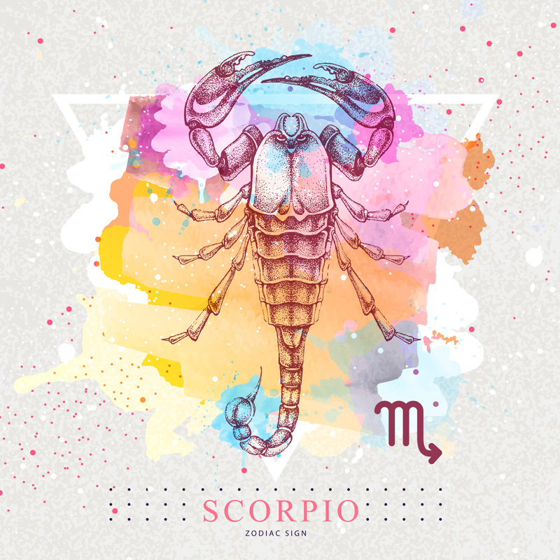 Scorpion, signe du zodiaque - impression sur toile tendue, H 36 po x l 36 po