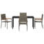 5 Piece Garden Dining Set Poly Rattan-301119003