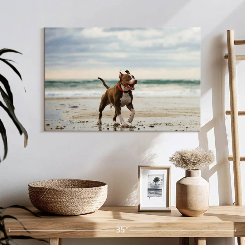 Brampt Pit Bull On Beach, 16" H x 24" W