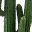 28'' Faux Cactus Plant in Pot