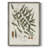 Botanical Society Ferns X Framed Print - Solid Wood-1337191801