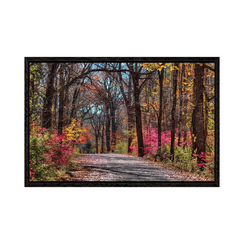 Manor Trail by David Gardiner - Print on Canvas, 45.72cm H x 66.04cm W x 3.81cm D, Black Framed