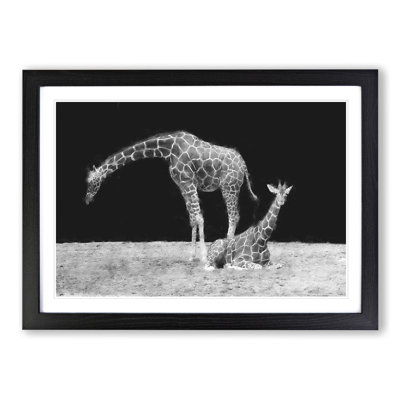 Two Giraffes Vol.3 - Framed Print